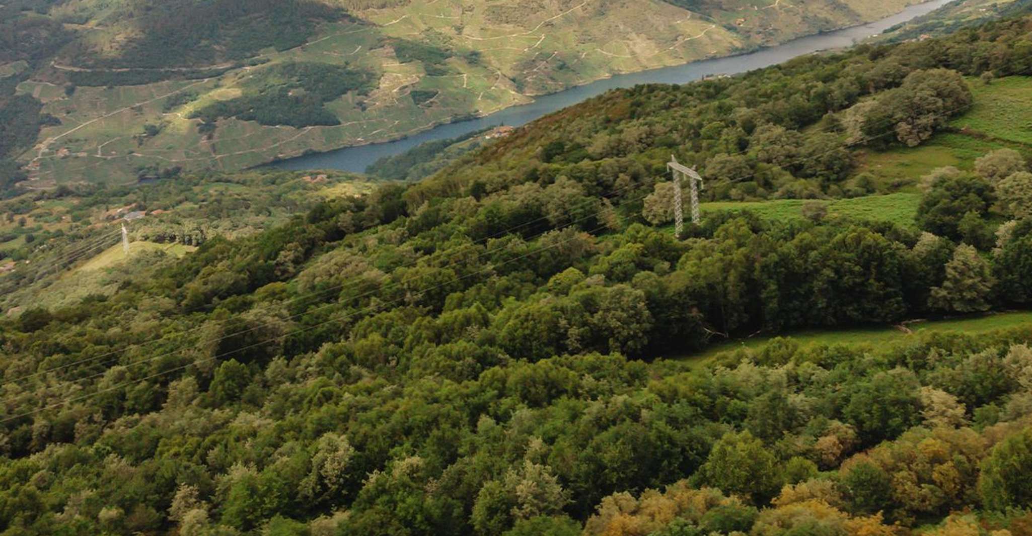 From Ourense Ribera Sacra Mirador de Triguas and more! - Housity