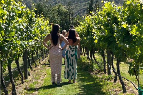 Queenstown: 2 Wine Regions & Wine Cave Tour - Local NZ Guide