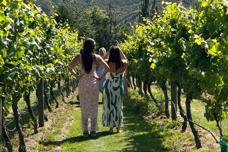 Queenstown: 2 Wine Regions & Wine Cave Tour - Local NZ Guide