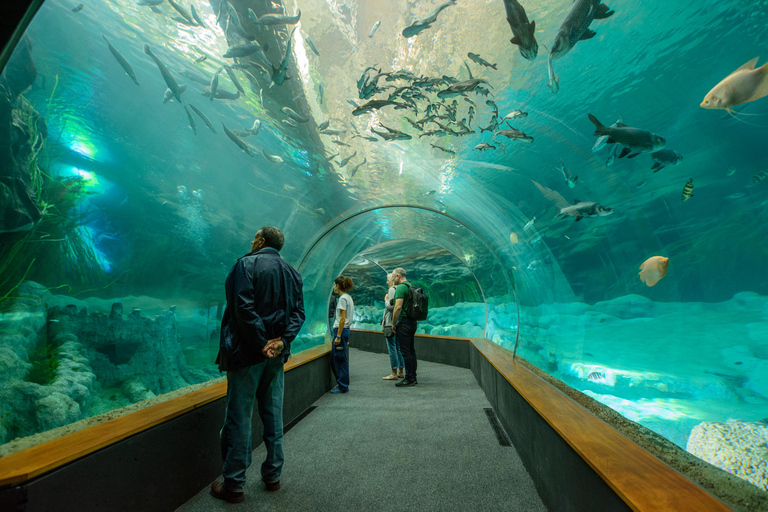 Poema del Mar and Las Canteras: Experience from the South of Gran Canaria