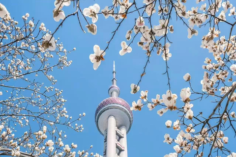 Shanghai: Oriental Pearl Tower Entry Ticket & Skywalk Shanghai: Oriental Pearl 2-Sphere Panoramic Pass