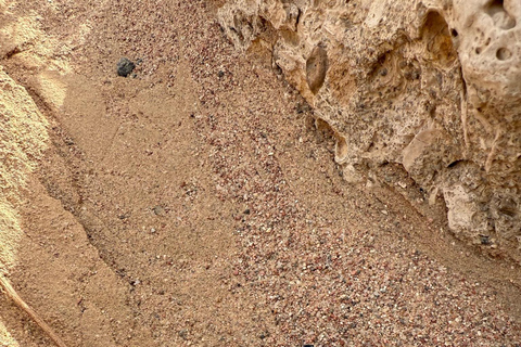 Hurghada: Hiking , dinner & stargazing Advanced hiking tour & camel ride