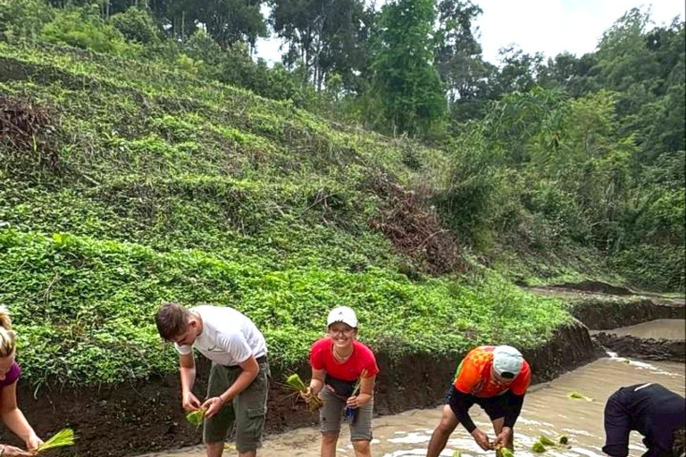 Chiang Mai: 1-Day Jungle Trekking in the Doi Inthanon Area