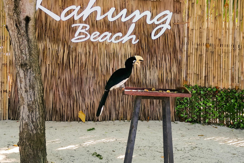 Phuket: Snorklingstur på korallöarna, Racha och Maiton