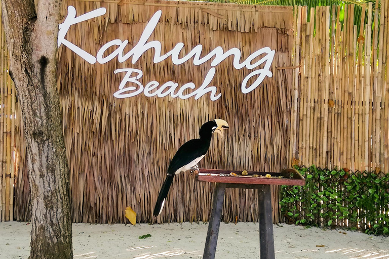 Phuket: Snorklingstur på korallöarna, Racha och Maiton