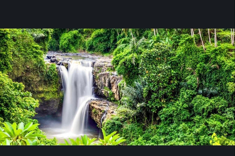 Bali: Bali Swing, Monkey Forest, Rice Terrace, Waterfall Private tour without entry ticket