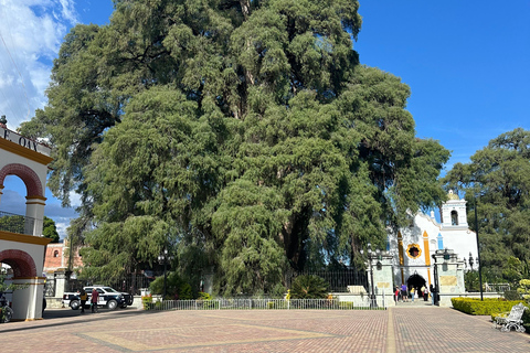 Full day trip in Oaxaca Zapotec Towns