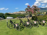 E-bike Citybike Rental - full day - Housity