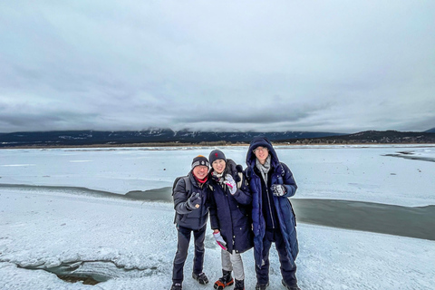 Athabasca Falls/Abraham,Sunwapta Falls, Icefield, Peyto Lake