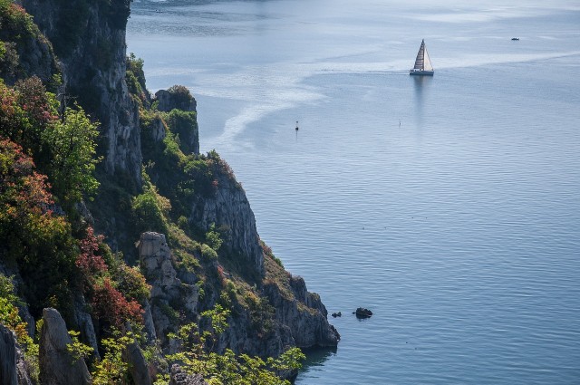 Visit Sailing Tour in Elba Island