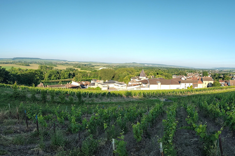 Dia particular - Cruzeiro e visita aos vinhedos de Champagne