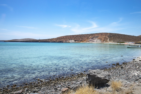 La Paz: Balandra or Tecolote amazing Beach Day Tour