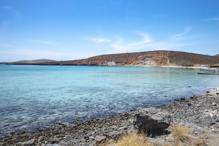 La Paz: Balandra or Tecolote amazing Beach Day Tour