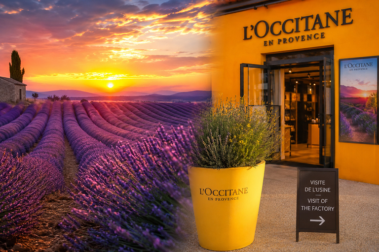 Aix-en-Provence: Private Lavender Sunset Tour