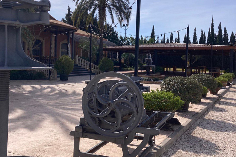 Alicante: Wine tasting tour with transfer