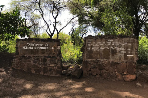 From Nairobi: Mzima Springs Wildlife Tour