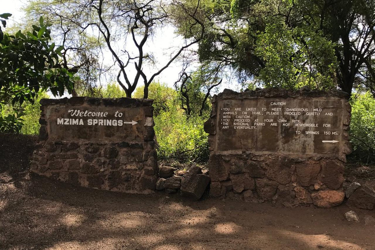 From Nairobi: Mzima Springs Wildlife Tour