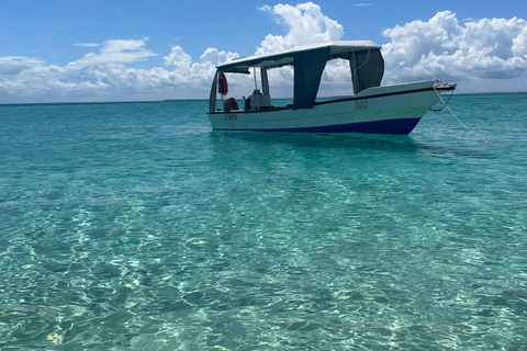 Nurkowanie z rurką w Kizimkazi i wycieczka na piaszczystą łachę (cały dzień)