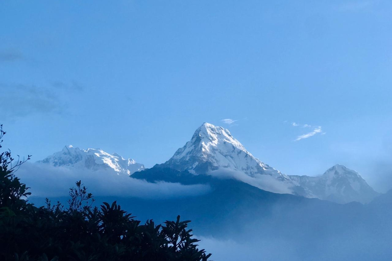 Vanuit Pokhara: 5 Daagse Poon Hill met Natuurlijke Warmwaterbron Trek