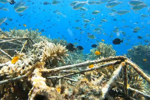 Gili Trawangan : Excursión en grupo de snorkel y puesta de sol +grabación con GOPRO