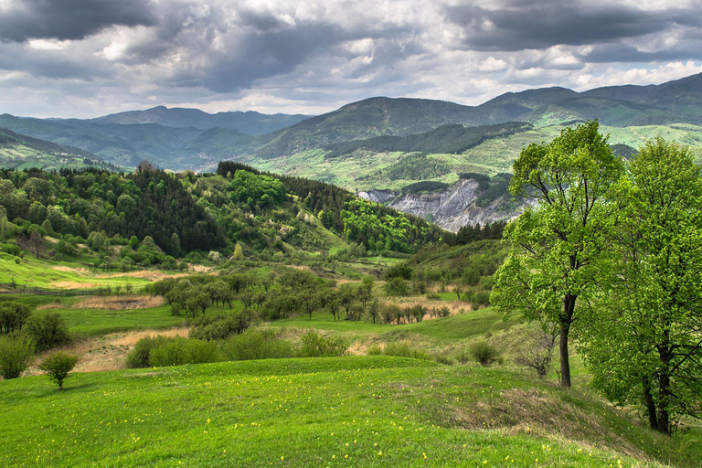From Bucharest: Mud Volcanoes, Living Fires & Growing Stones