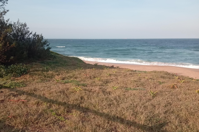 The secrets of Umdloti beach with Dolphin Point & Tidal Pool