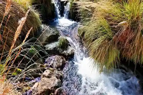 Excursion to the Puritama hot springs