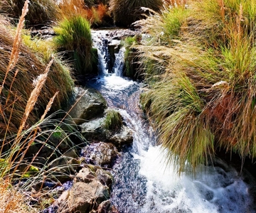 Excursion to the Puritama hot springs