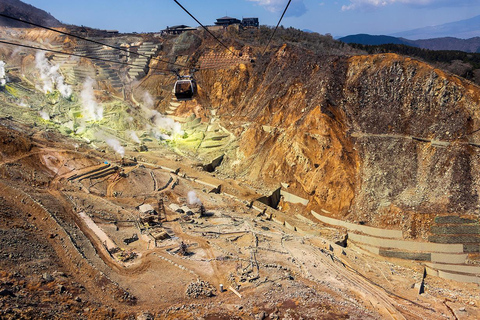 Stunning Views of Mt. Fuji & Hakone Day Trip From Tokyo