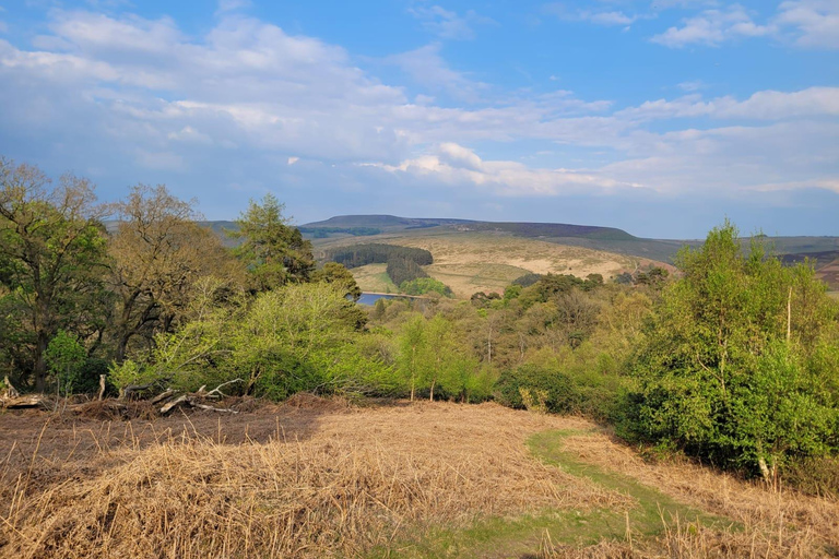 Manchester: Peak District 3-Walk 1 Day Tour