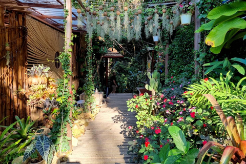 From Koh Samui: Tree Bridge Zipline and Café Experience