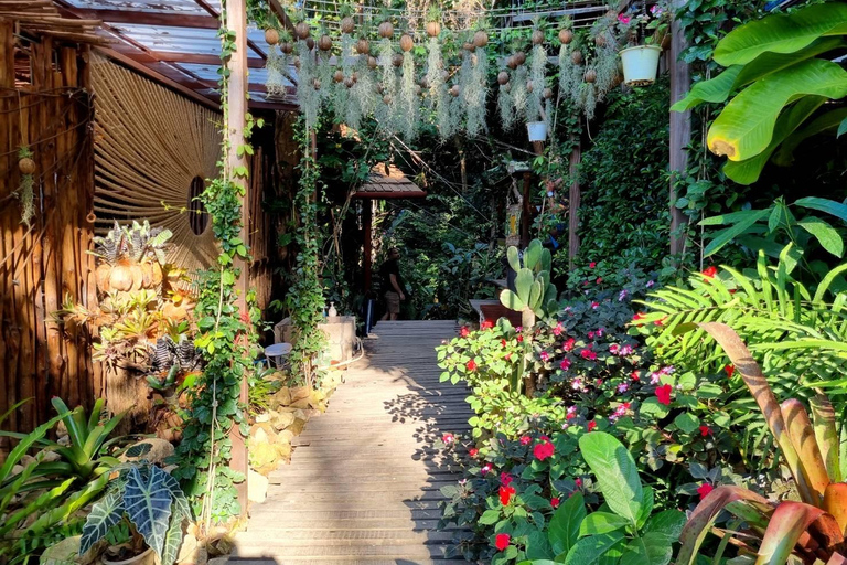 From Koh Samui: Tree Bridge Zipline and Café Experience