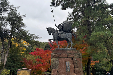 Kanazawa: Półdniowa prywatna wycieczka - ogród, zamek, gejsze