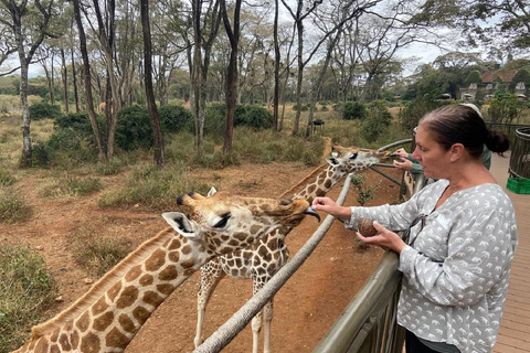 Nationaal park Nairobi, olifantenweeshuis en giraffencentrum