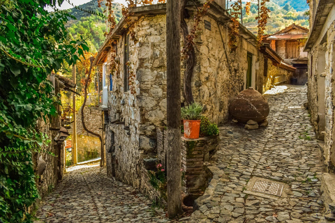 From Larnaca: Troodos Highlights Kykkos, Throni & Kakopetria