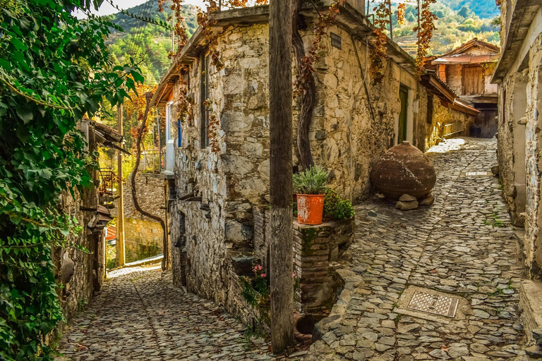 From Larnaca: Troodos Highlights Kykkos, Throni & Kakopetria
