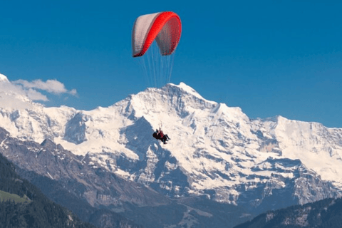 Depuis Zurich : Excursion d&#039;une journée au lac Blausee et au charmant Interlaken