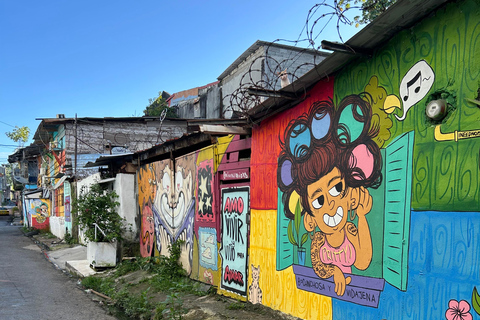 Panama City: Street Art & Stories with local guide