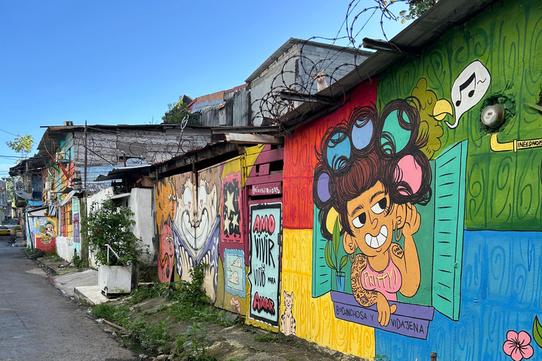 Panama City: Street Art & Stories with local guide