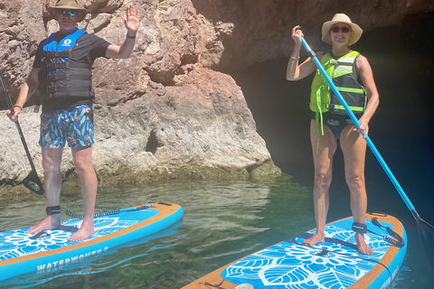 Plage de Willow : Location de paddle board