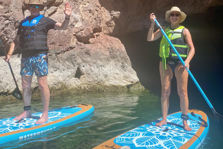 Plage de Willow : Location de paddle board