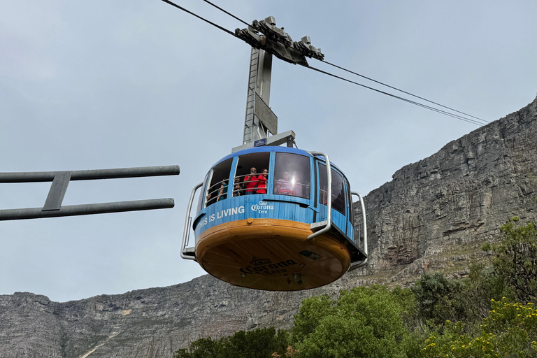 Robben Island Tour & Table Mountain guided Tour