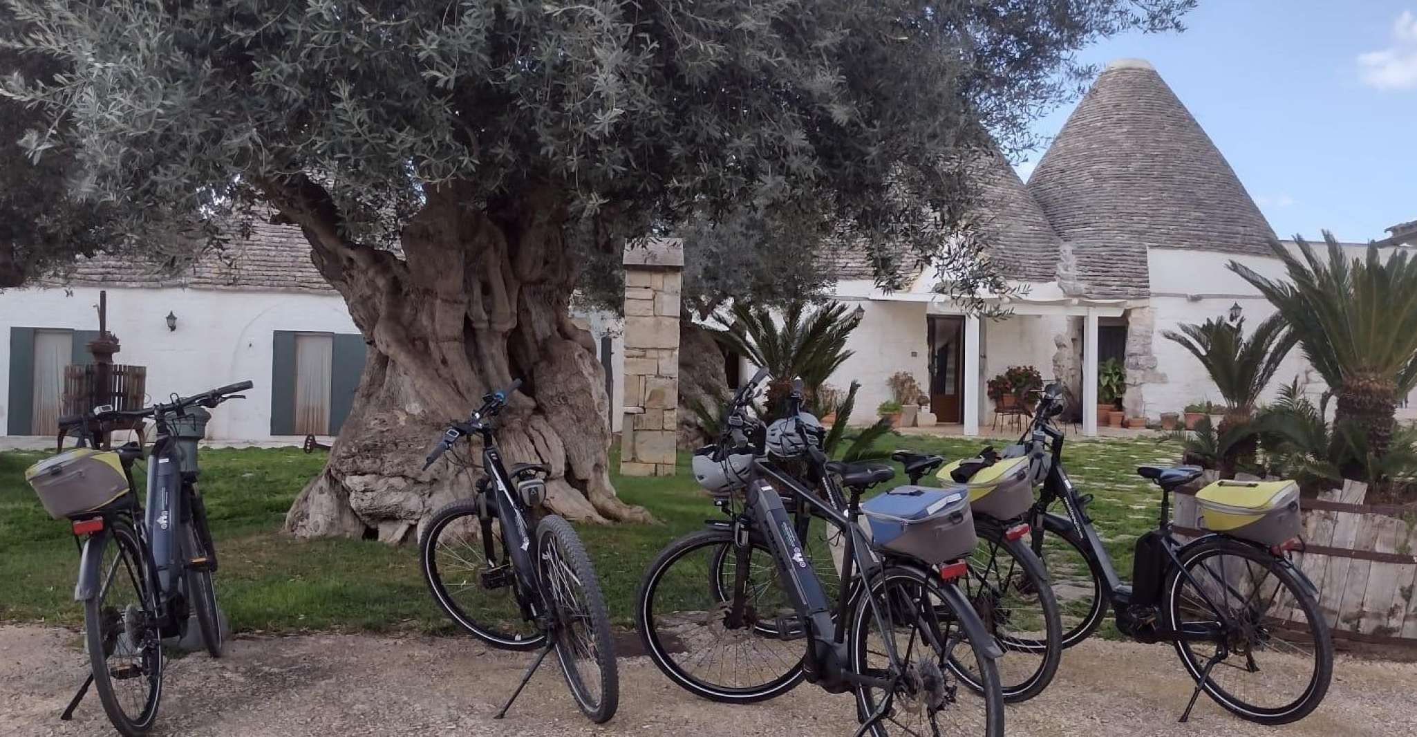 ebike tour, the villages of Valle d'Itria and typical food - Housity