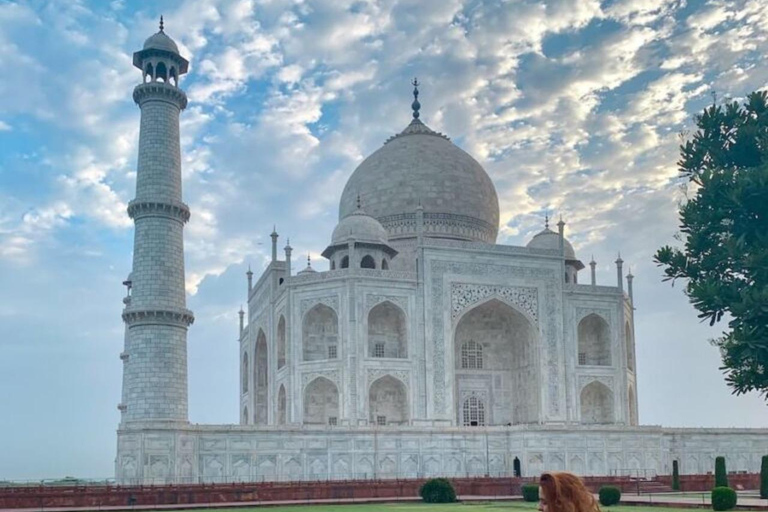 From Delhi: 4-Day Private Luxury Golden Triangle Tour Tour with 5-Star Hotel Accommodation, Guide & Private Driver