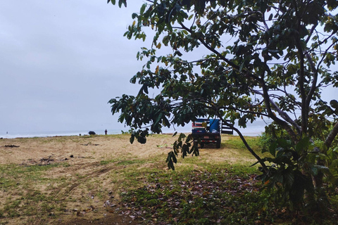 Private Kayaking Adventure: a 2-hour Wildlife Escape Self-Guided Kayaking Adventure: a 2-hour Wildlife Escape