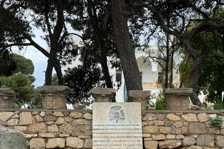Tunis Express :Carthage, Sidi Bou Saïd & Médina with GENZ