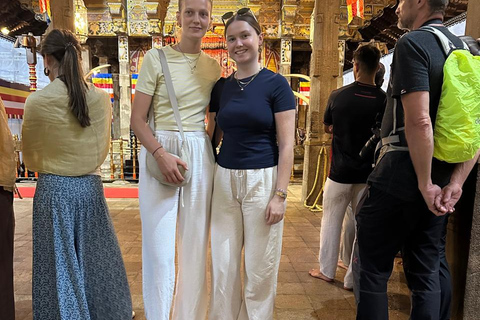 CMB/Negombo: Sigiriya, Kandy & Ella Private Tour with Driver Private Van with Driver – Up to 50 km