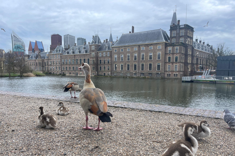 Amsterdam: Delft and The Hague Day Trip -Car Museum *