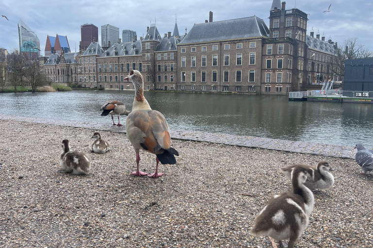 Amsterdam: Delft and The Hague Day Trip -Car Museum *
