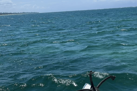 Mombasa to Diani full day snorkeling, beach and sunset tour